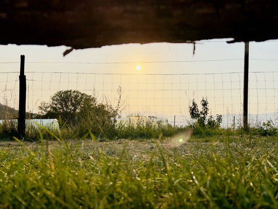 Posted media