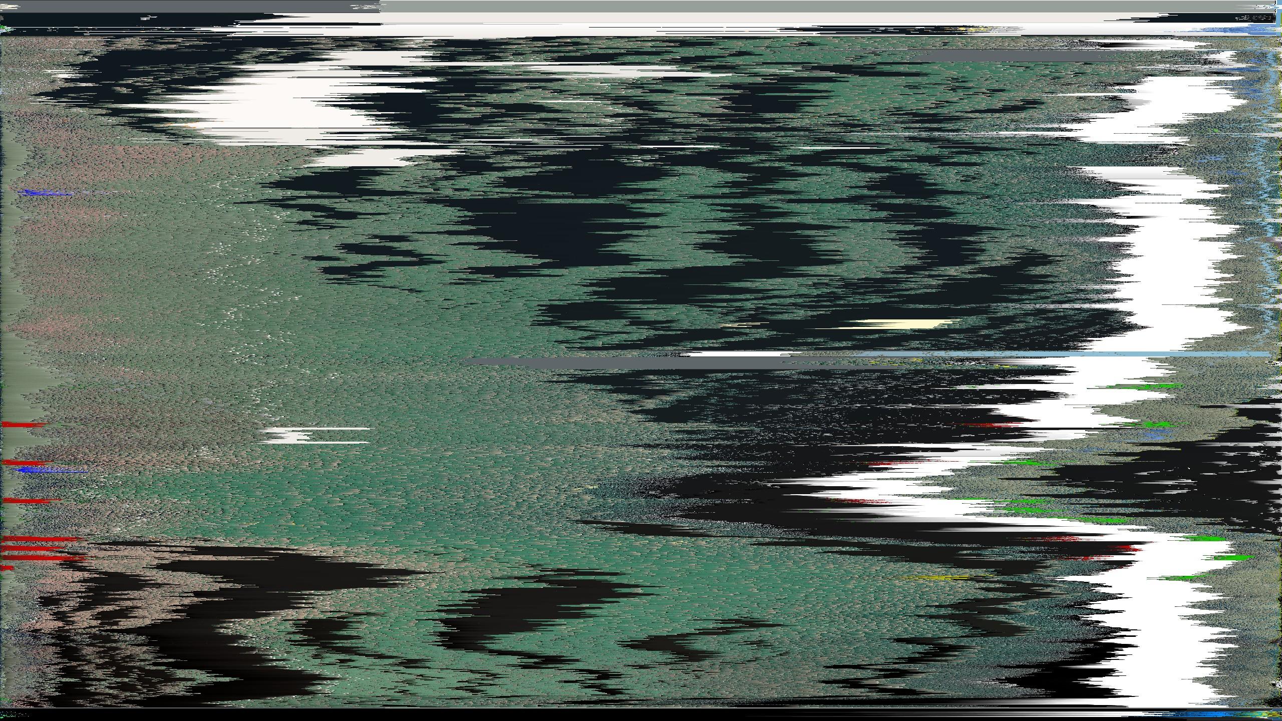 A screenshot with pixels sorted by random criteria